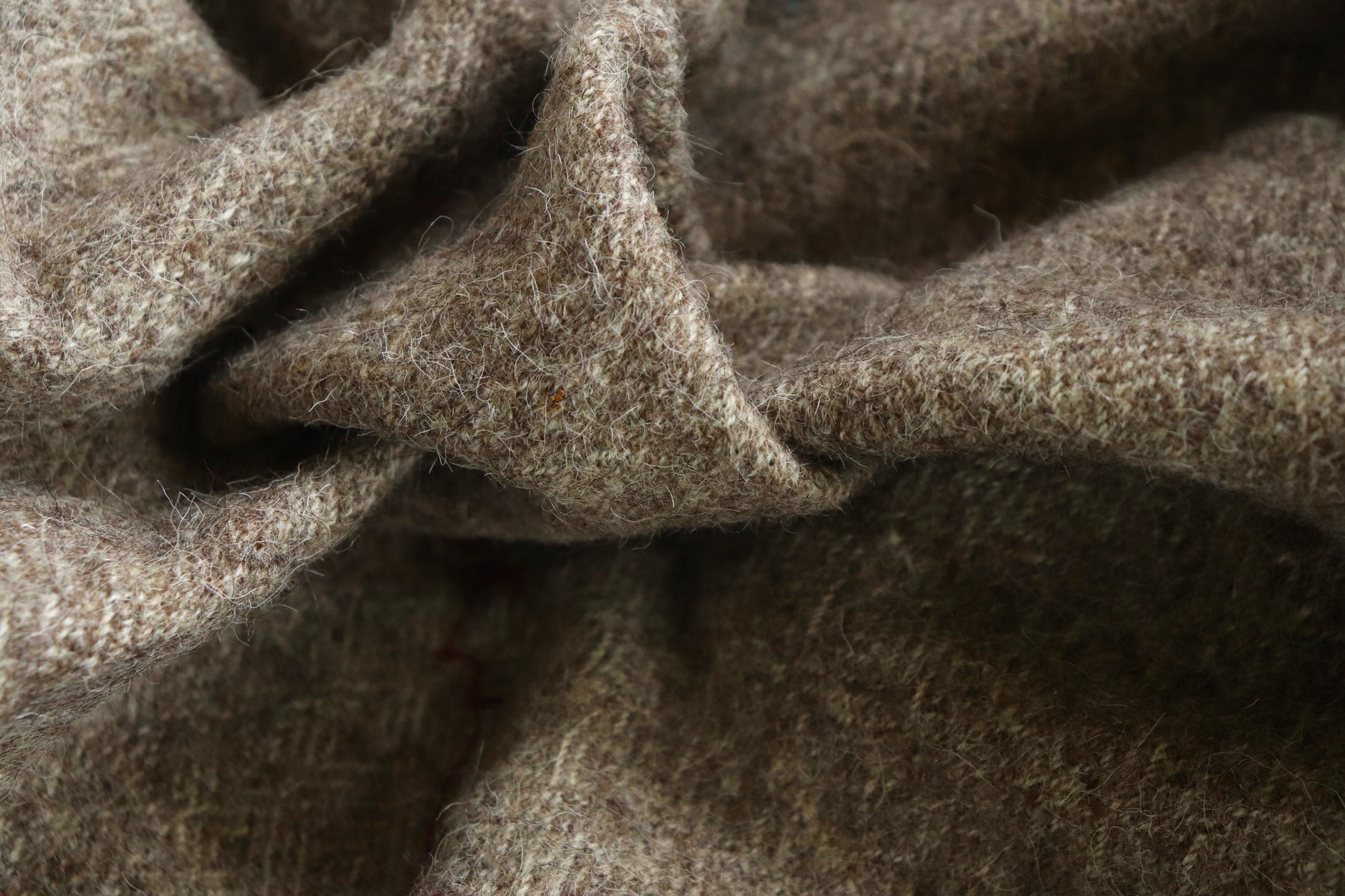 himachal  sheep wool