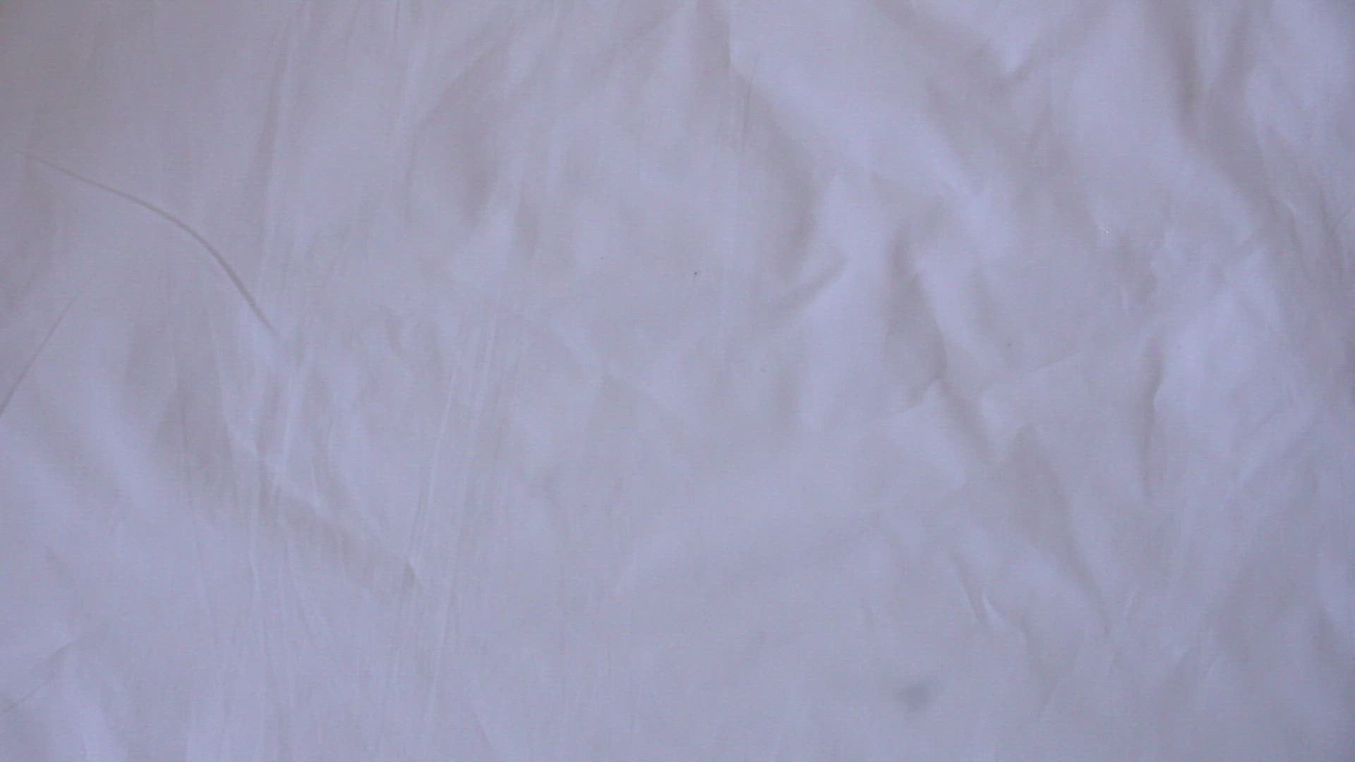 Organic Cotton Fabric