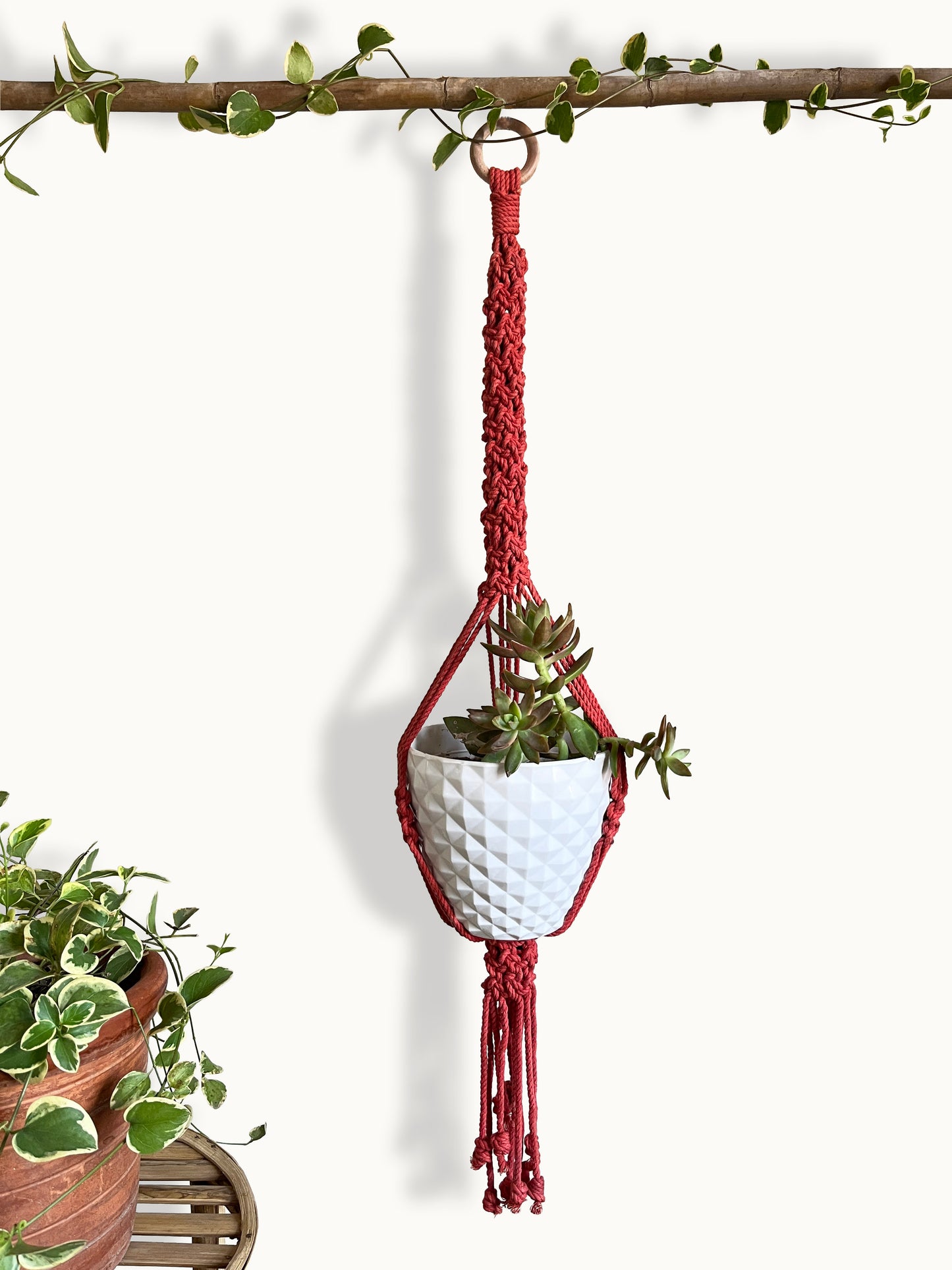 Crimson Macramé Plant Hanger