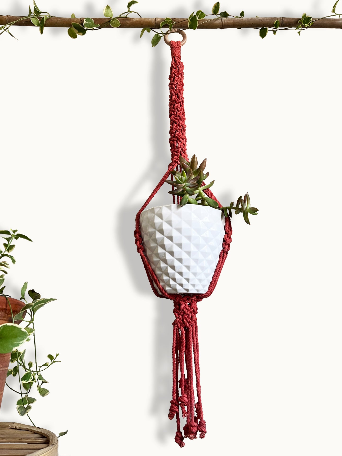 Crimson Macramé Plant Hanger