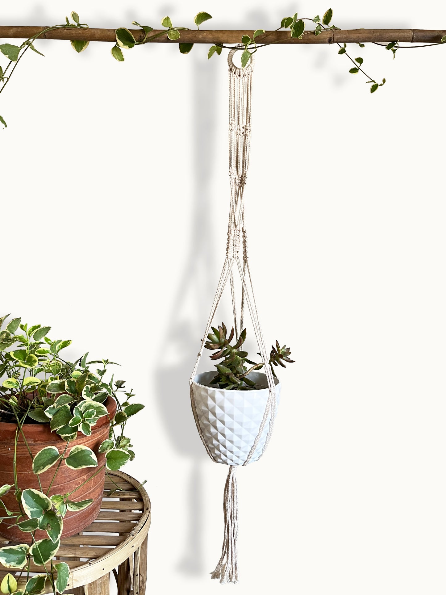 Helix Ivory Plant Hanger