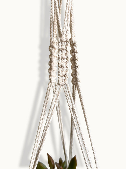 Helix Ivory Plant Hanger