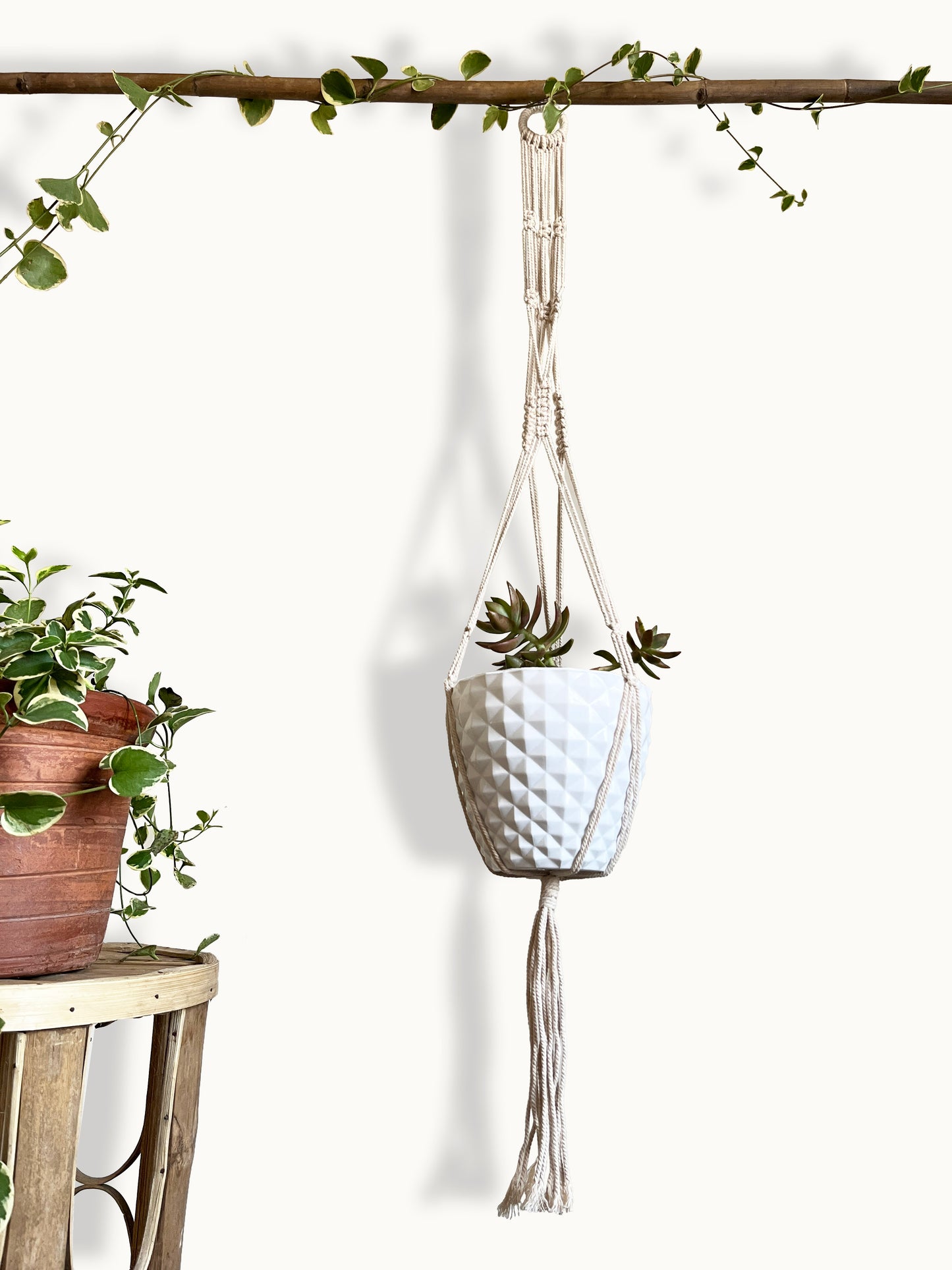 Helix Ivory Plant Hanger