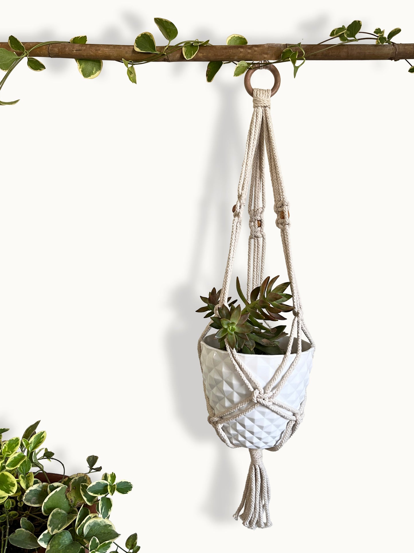 Interlaced Ivory Plant Hanger