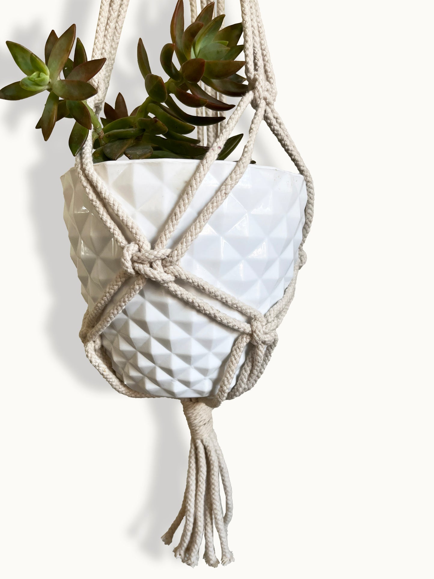 Interlaced Ivory Plant Hanger