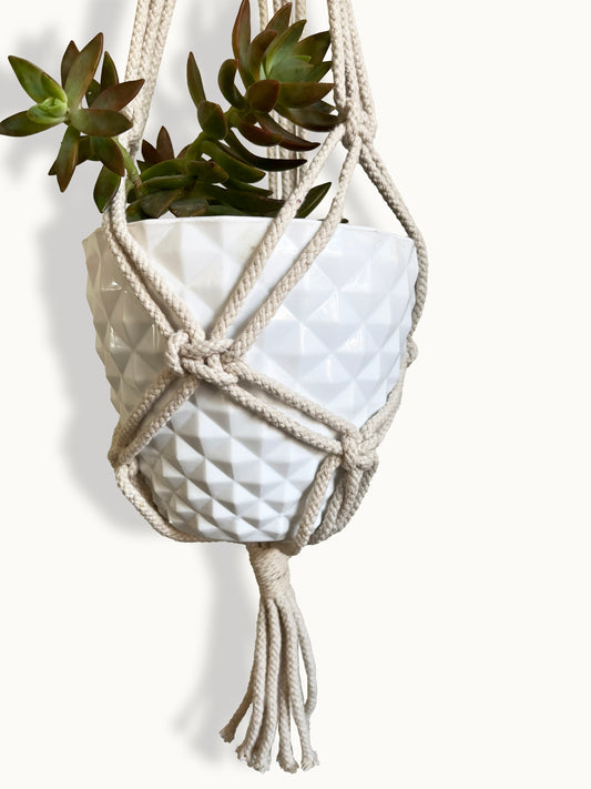 Interlaced Ivory Plant Hanger
