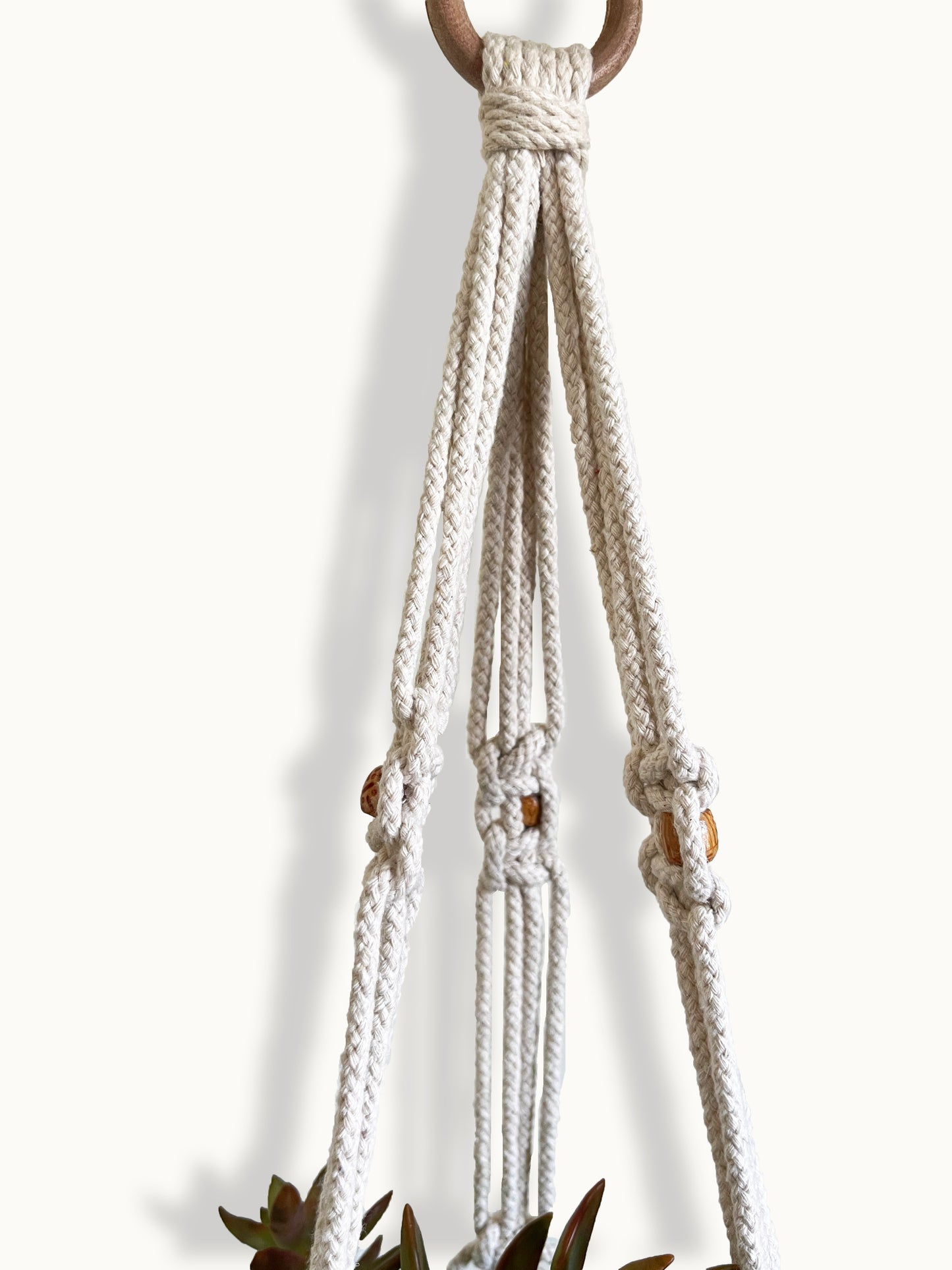 Interlaced Ivory Plant Hanger