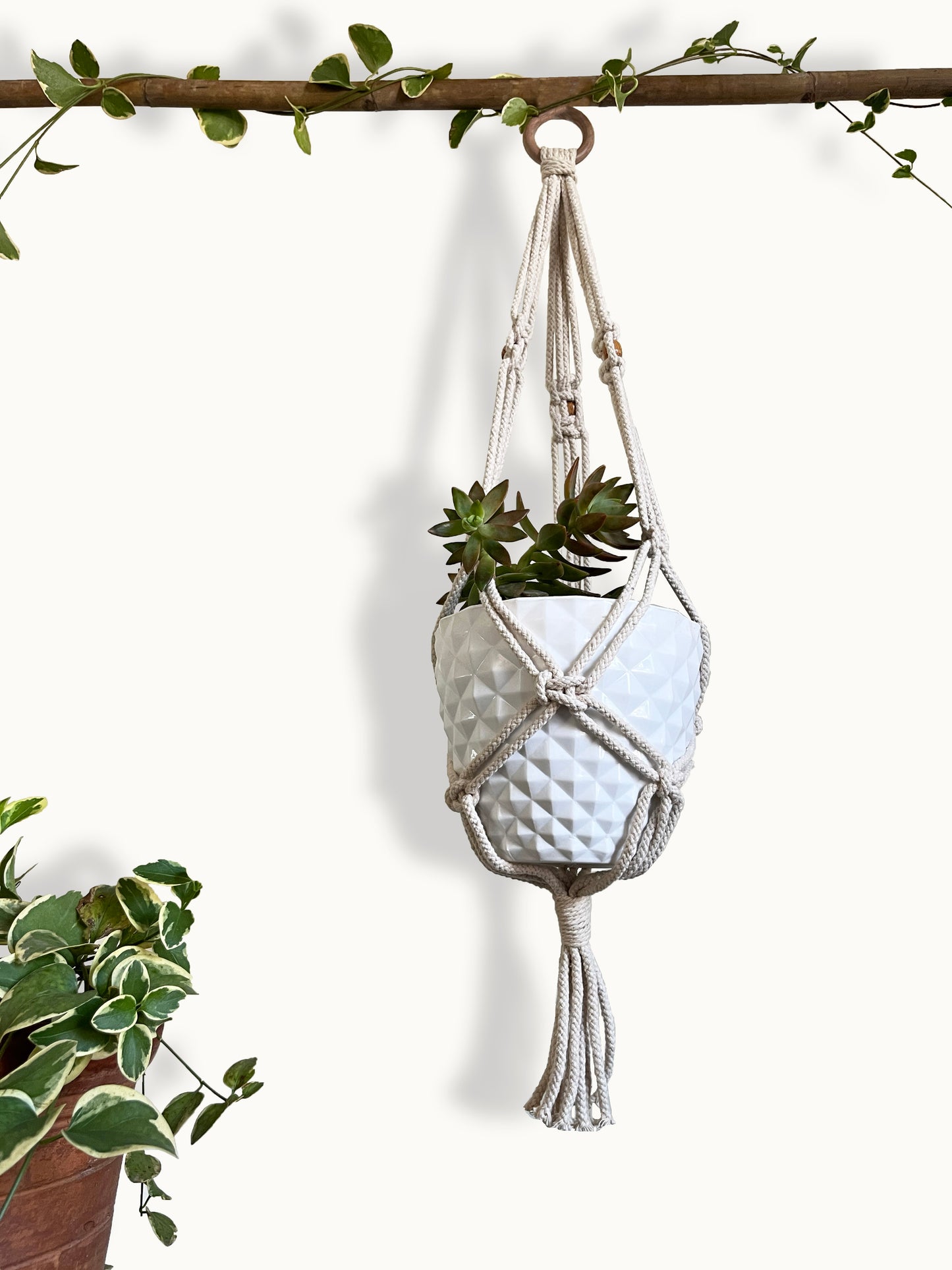 Interlaced Ivory Plant Hanger
