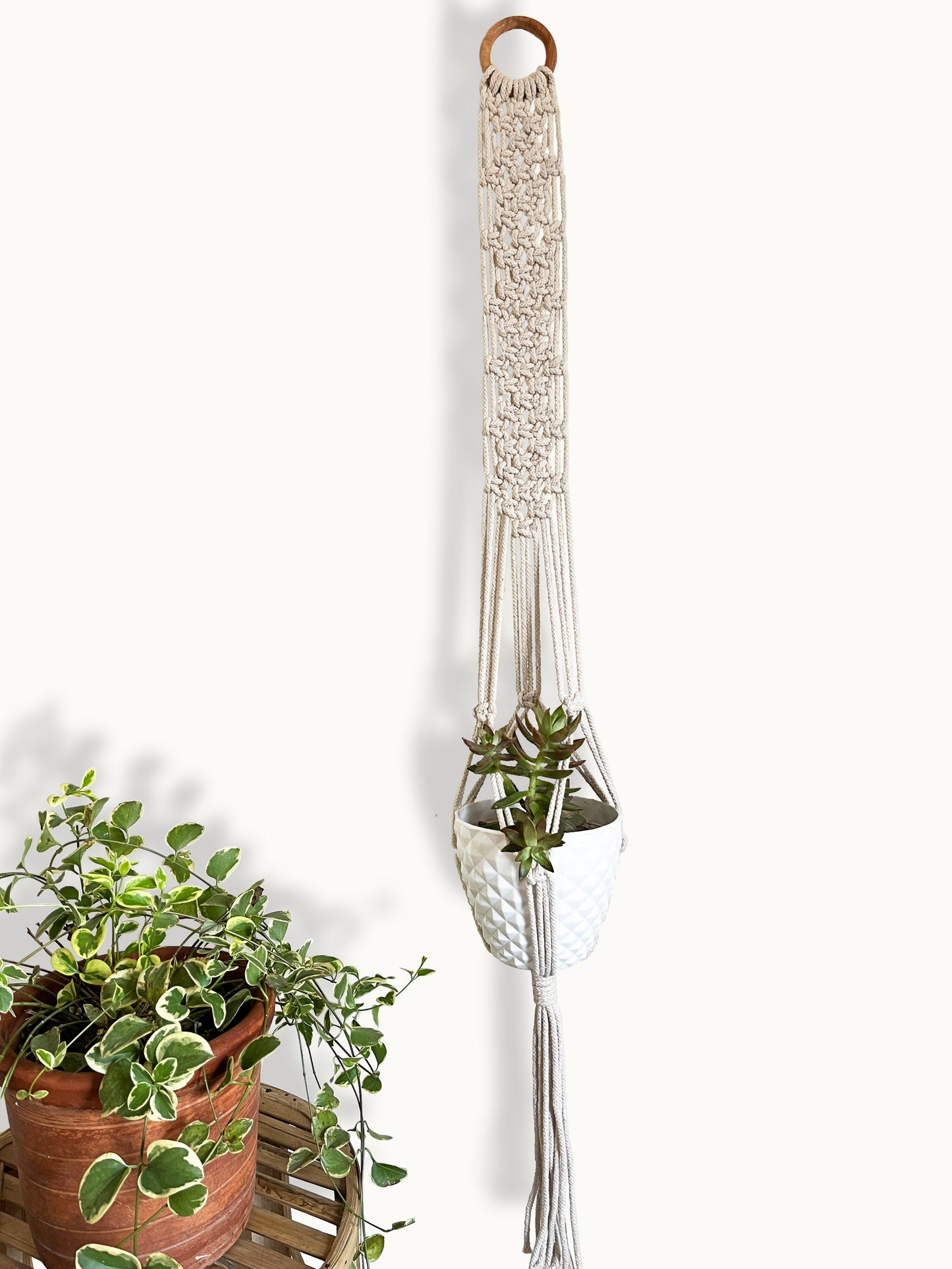 Plant Hanger