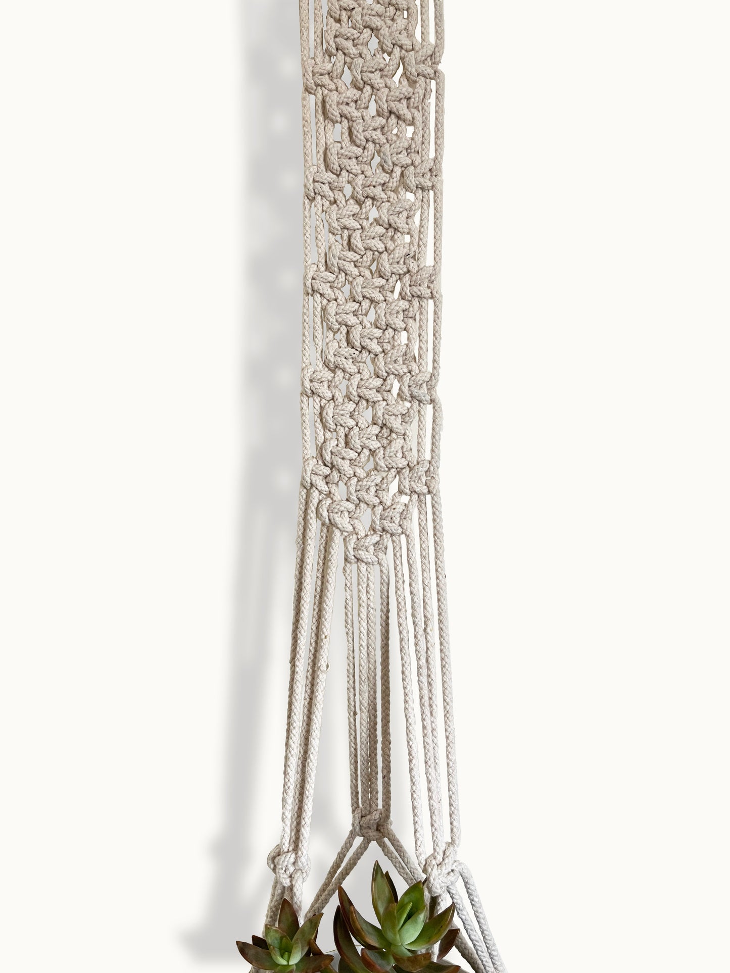 Latticed lvory plant hanger
