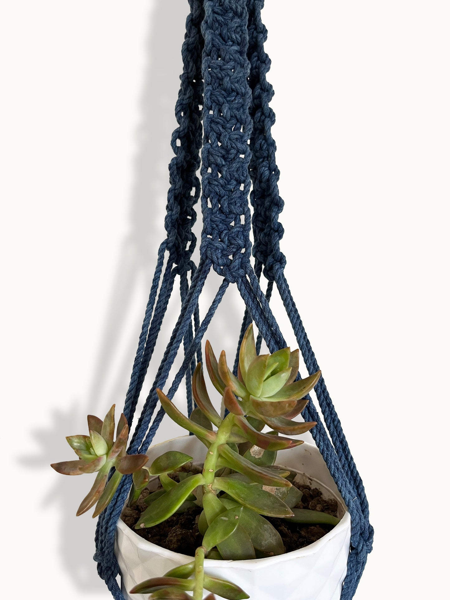 Plant Hanger