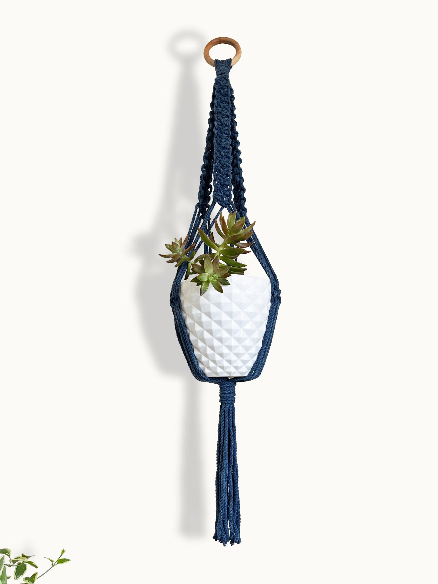 Plant Hanger