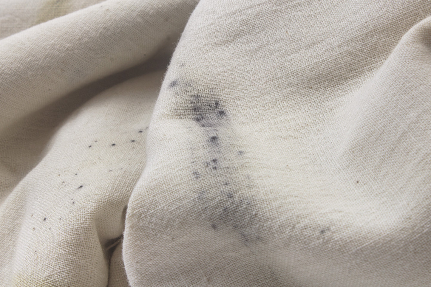Eco Print