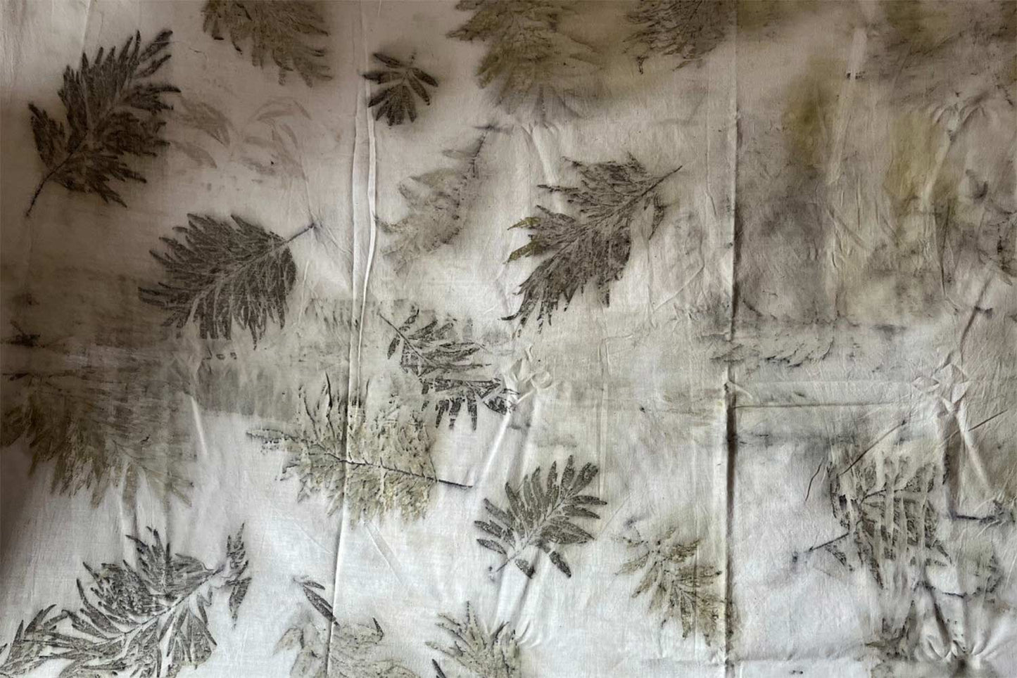 SILVER OAK - KHADI FABRIC