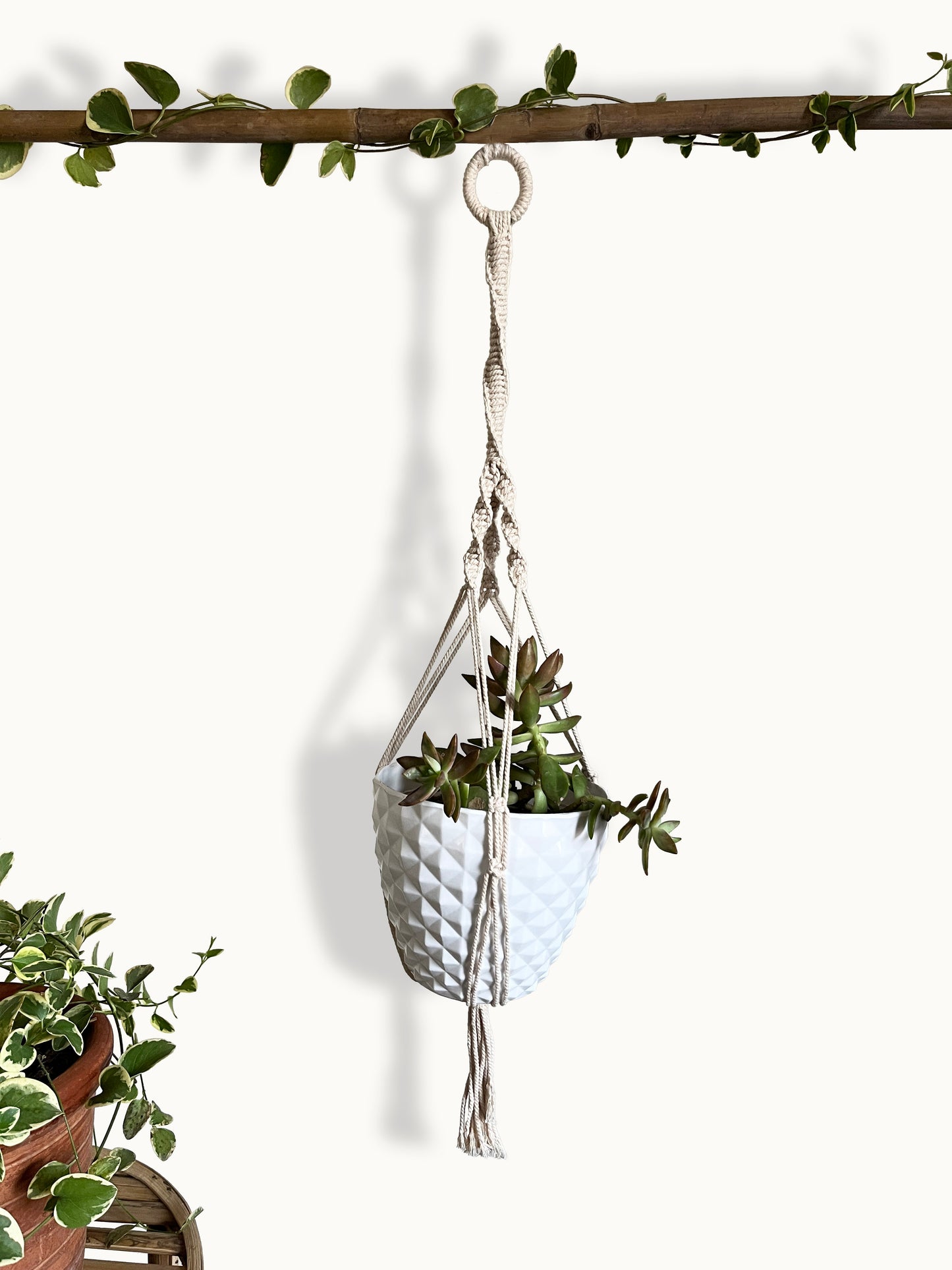 spiral ivory plant hanger