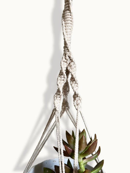 spiral ivory plant hanger