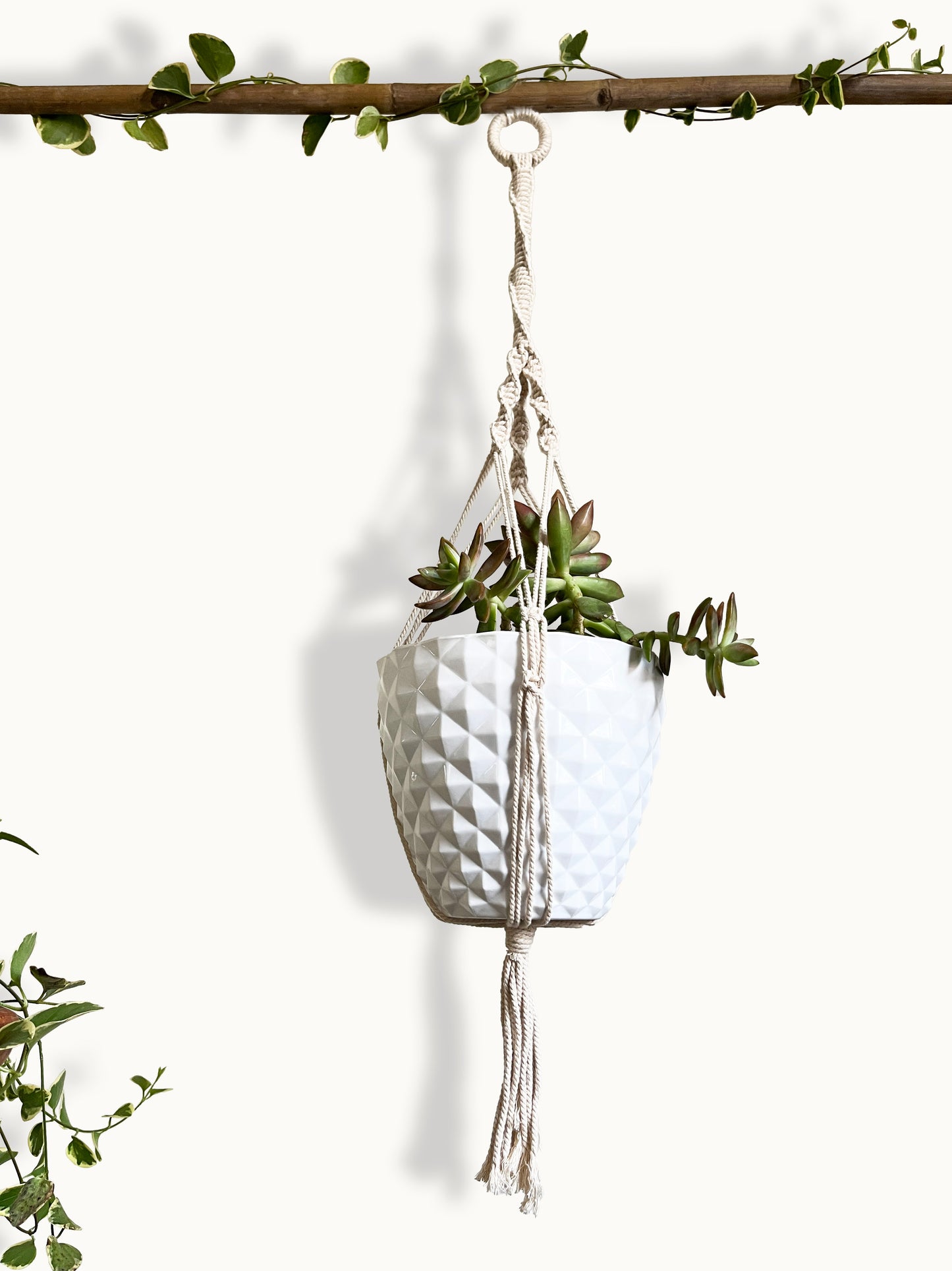 spiral ivory plant hanger