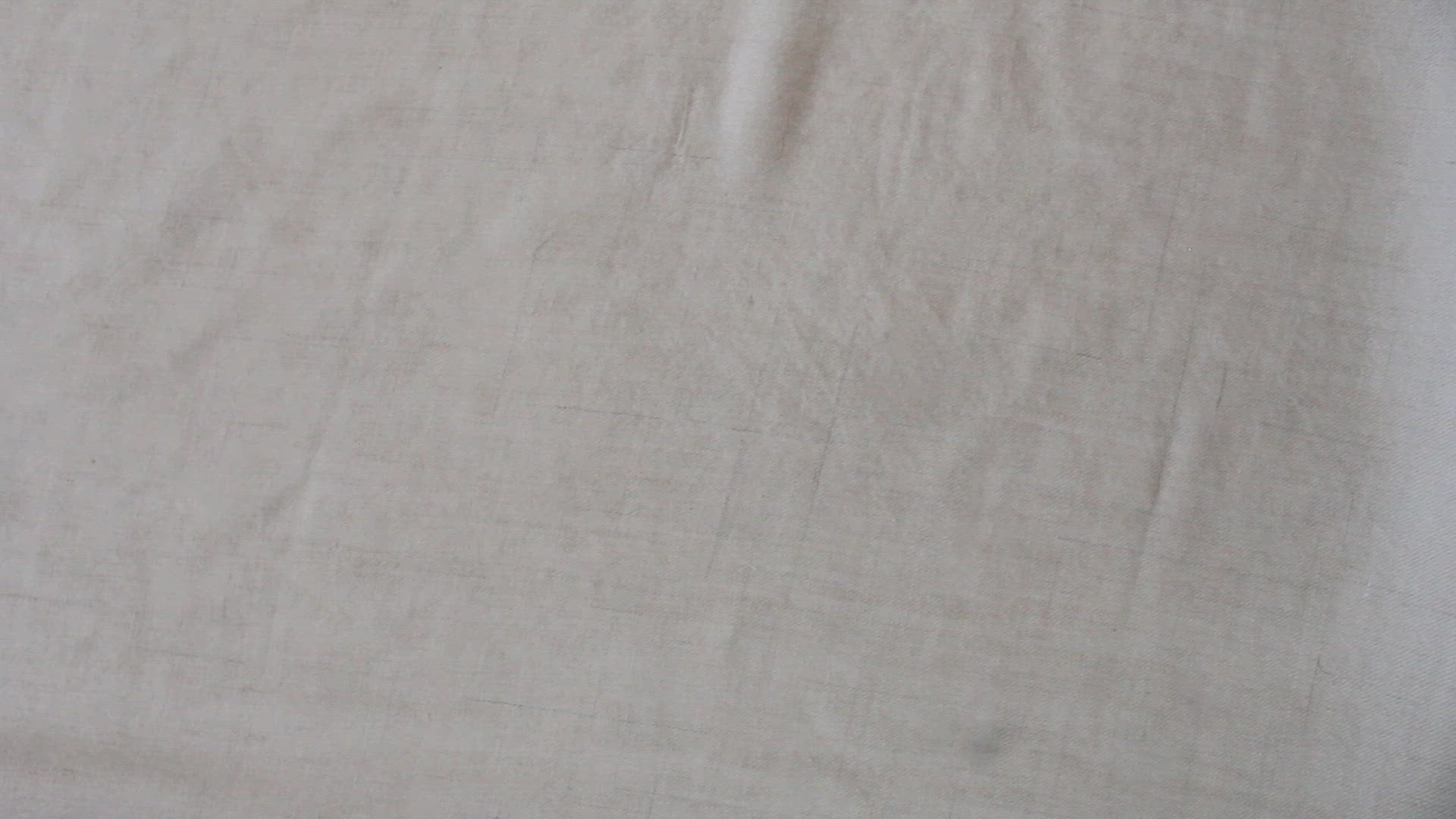 Pashmina Fabric
