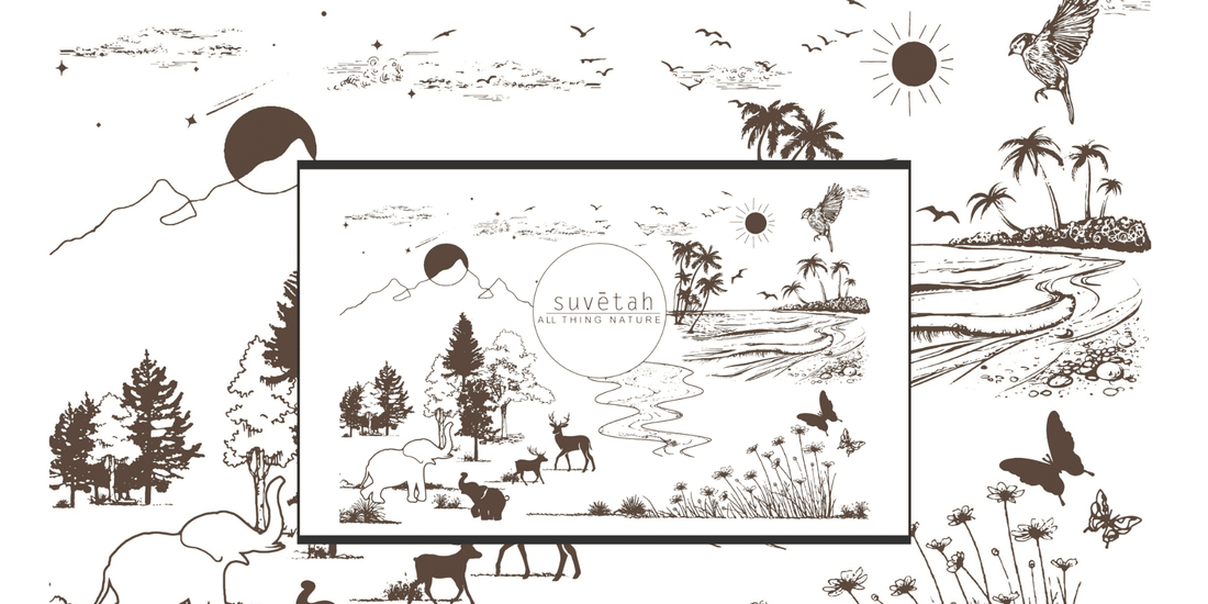 6 Groundbreaking Research Findings: Sustainable Fabrics Are Transforming the $74.8B Textile Industry — Why You Should Order Fabric Online Now