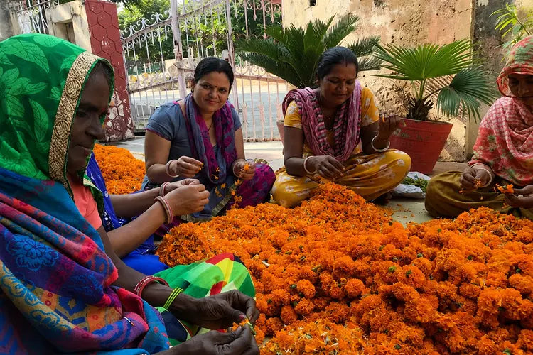 Natural Dyes Powder and Extracts