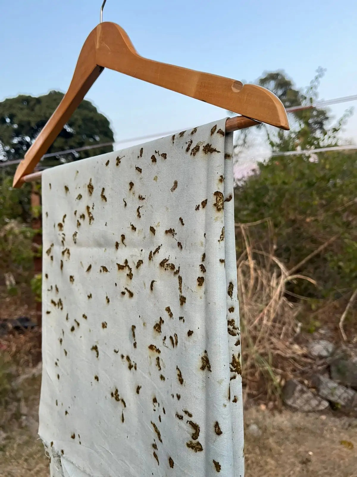 Blue Marigold Eco-Printed Eri Silk Scarf