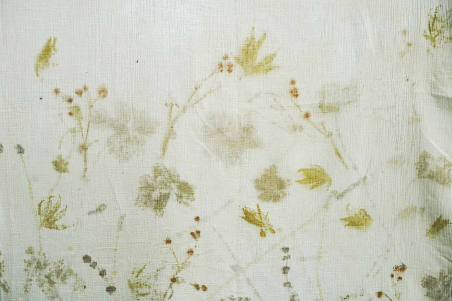 The forgotten Garden