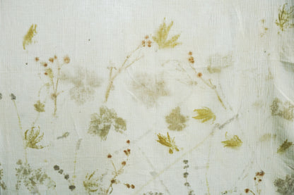 The forgotten Garden