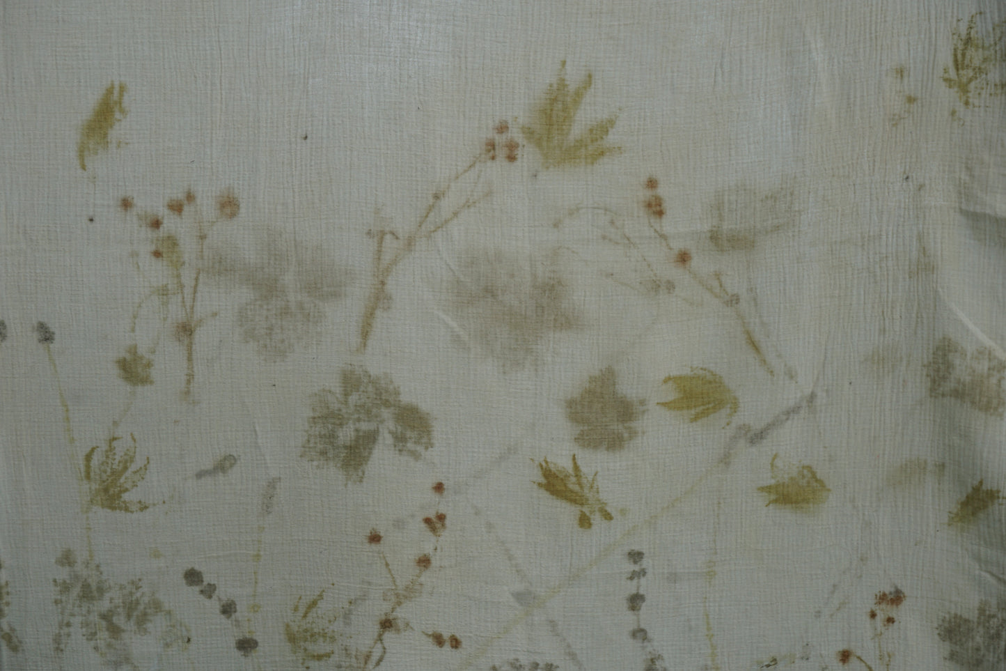 The forgotten Garden