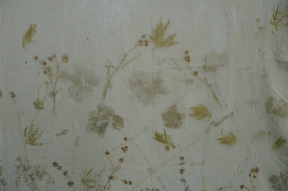The forgotten Garden
