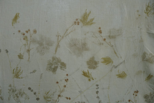 The forgotten Garden