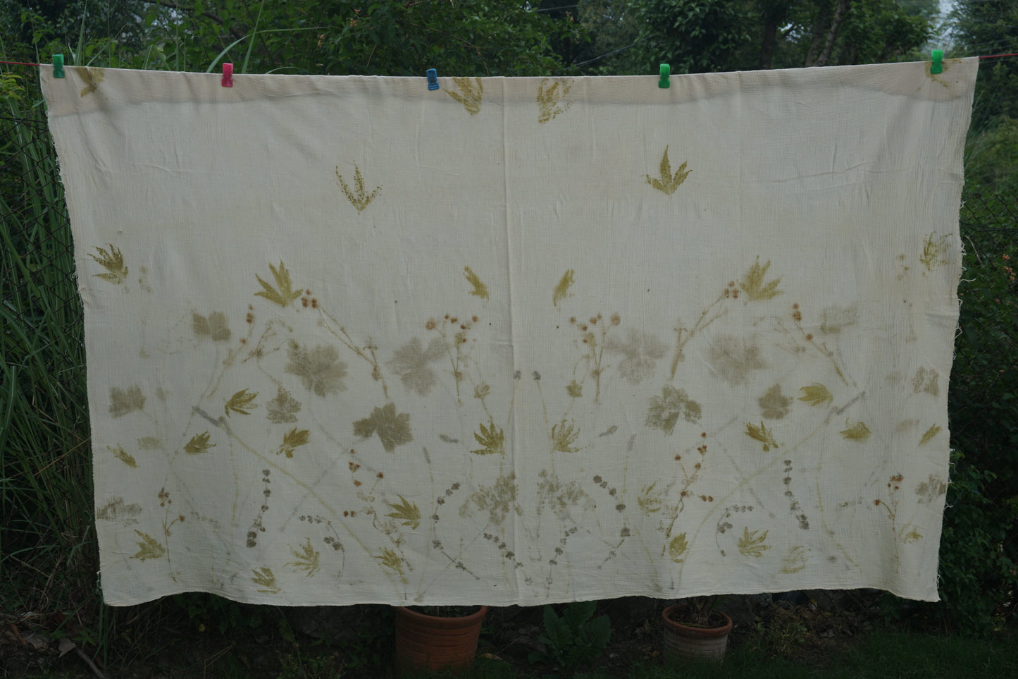 The forgotten Garden