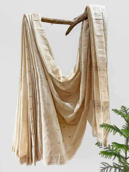 MUGA SILK DOBBY SAREE