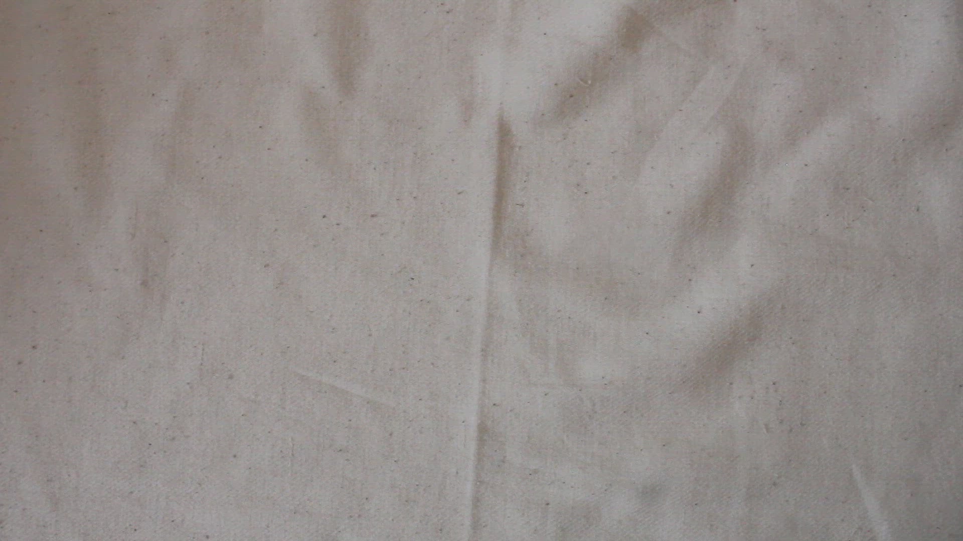 White Bee Embroidered Denim Fabric | JOANN