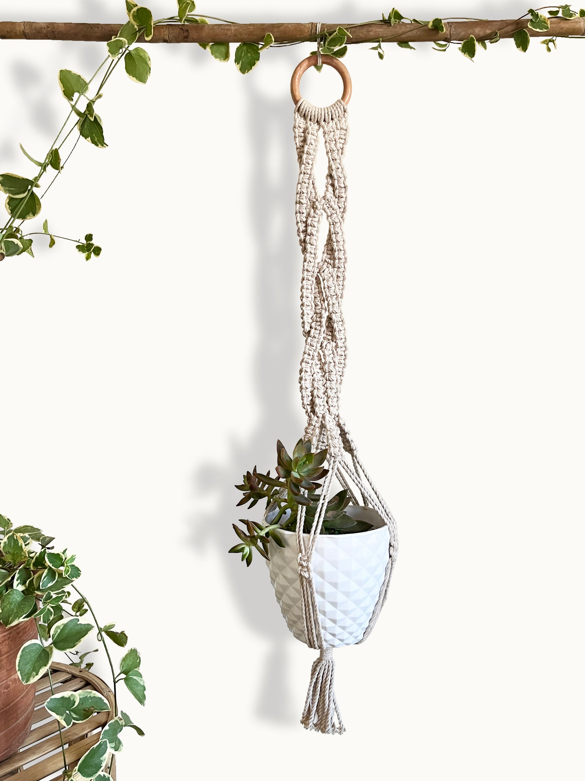braided plant hanger Buy Braided Ivory Plant Hanger Plant Hanger Online for Indoor Plants