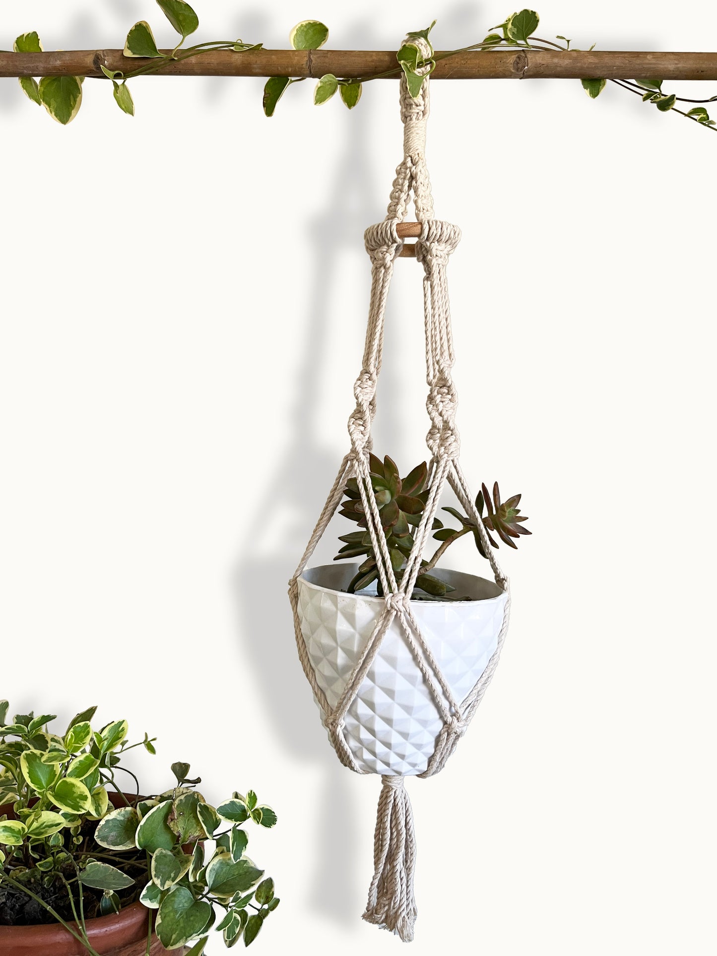 Knotted Ivory Plant Hanger