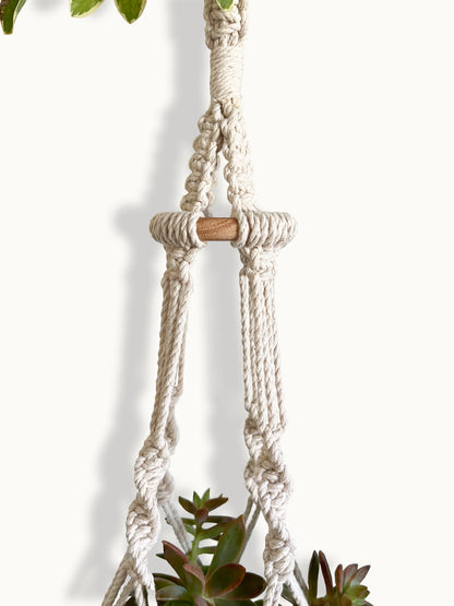 Plant Hanger