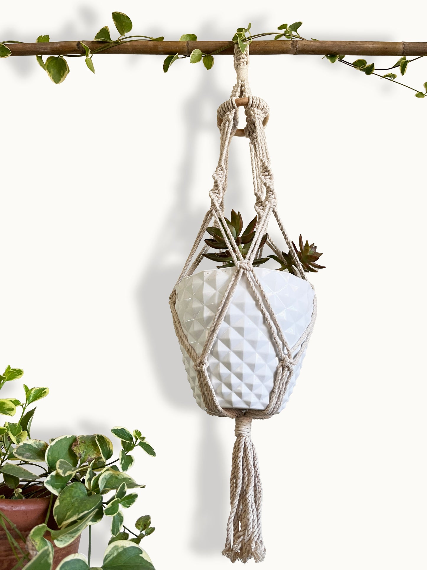 Knotted Ivory Plant Hanger