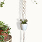 Looped Ivory Plant Hanger