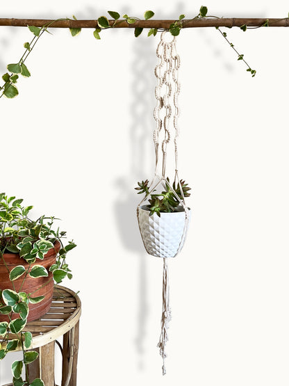 Looped Ivory Plant Hanger