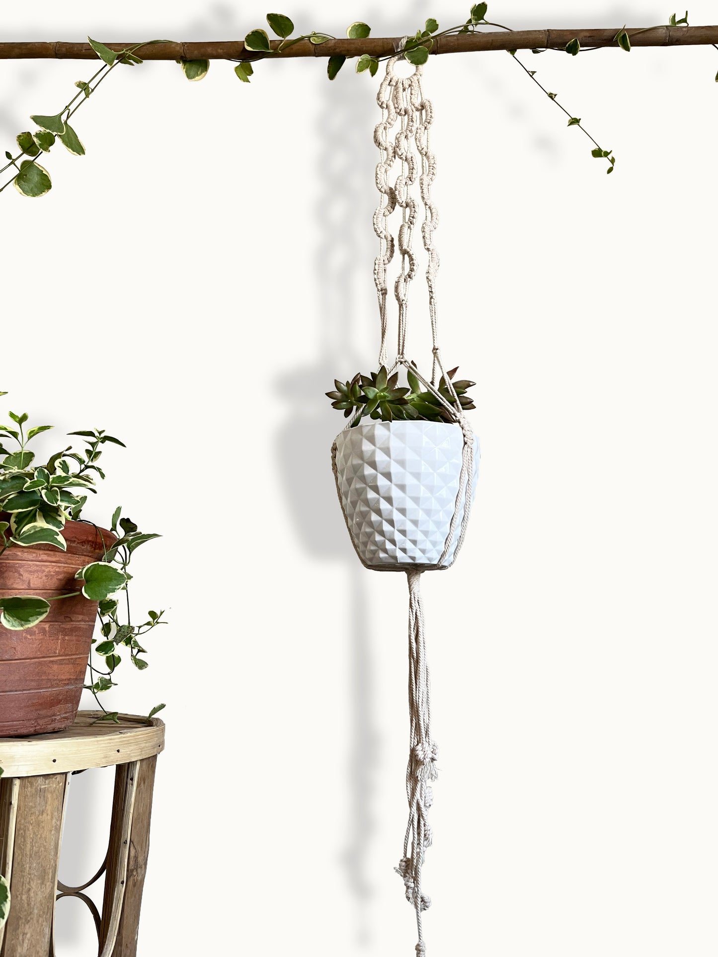 Looped Ivory Plant Hanger