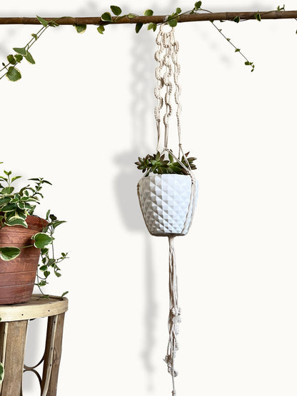 Plant Hanger