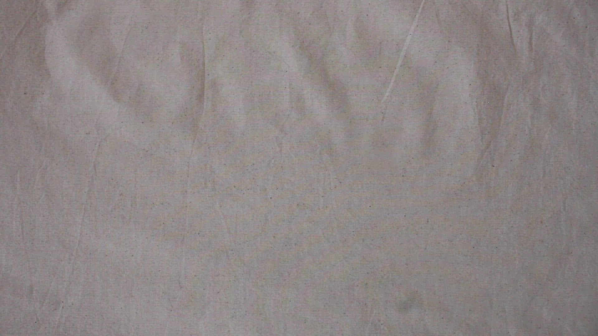 Kala Cotton Handloom Fabric